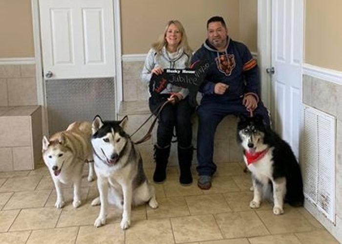 美国一只西伯利亚哈士奇犬因天生“斗鸡眼”遭狗场嫌弃 终获新主人宠爱