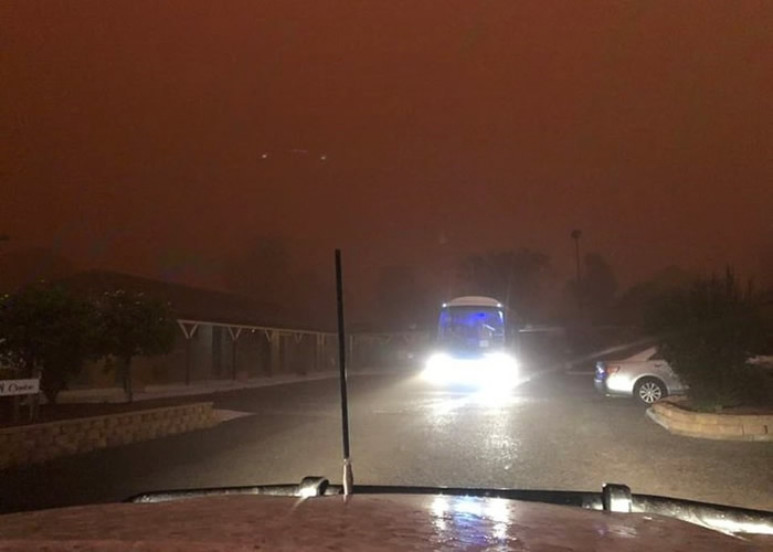 ���޸ɺ���ɽ����Ű����ӭ������һ������ ɳ����������Ϯ