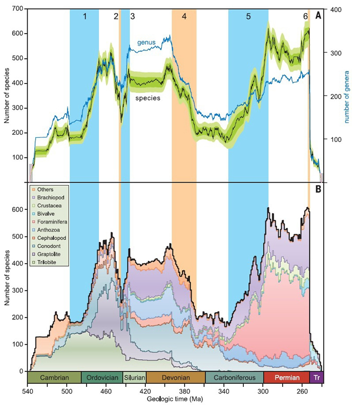 本次研究得到的古生物代海洋生物多样性曲线