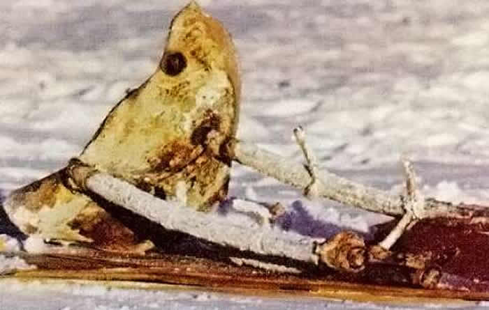 核放射雨:1978年1月24日凌晨苏联核动力军事卫星“宇宙-954”坠落加拿大