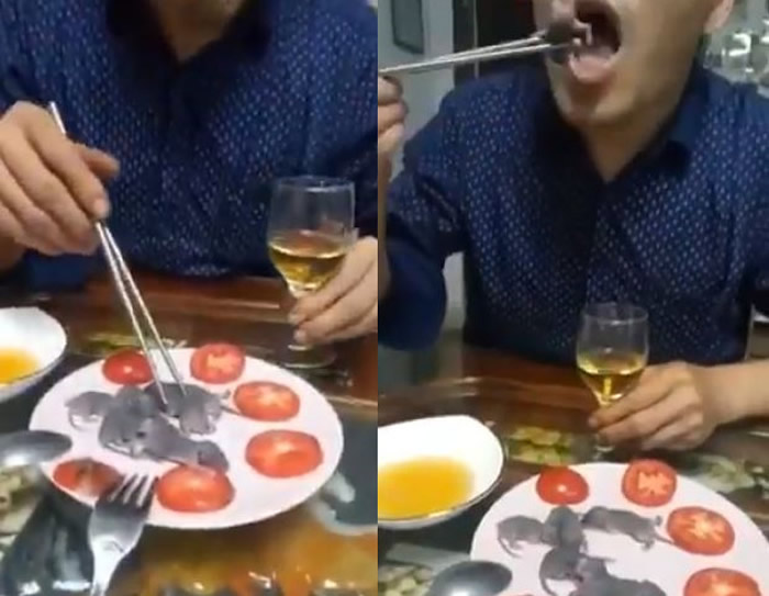 极具争议的中国菜“三吱儿”蜜唧:生吃小老鼠