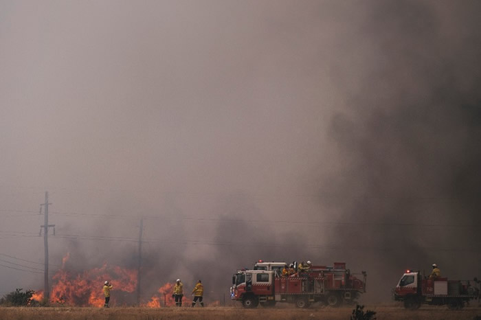 英国气象局公布预测数据:山火导致全年二氧化碳排放量急升
