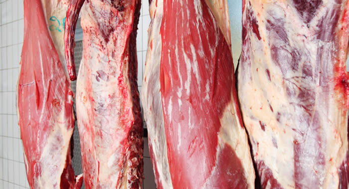 ������ר�ң��κ�����¶���Ҫ��û���㹻���й��ȴ�������