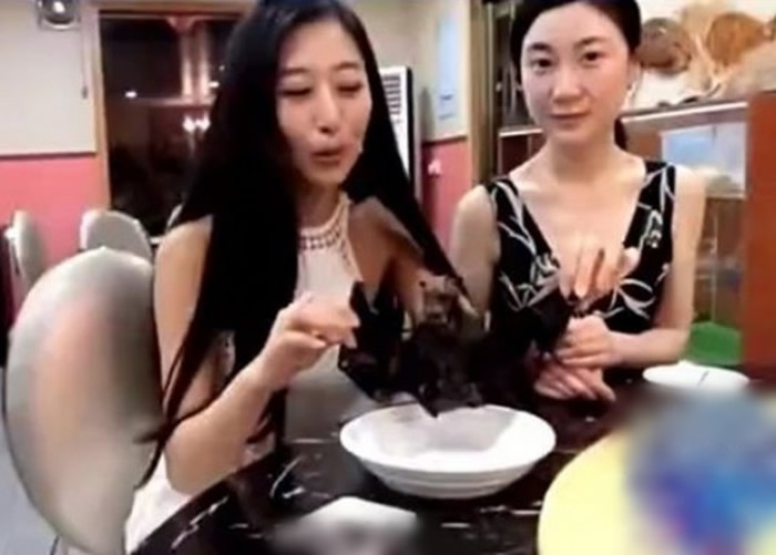 “美女吃蝙蝠”短片引来大批网民声讨 女主持人汪梦云致歉承诺不再吃野味