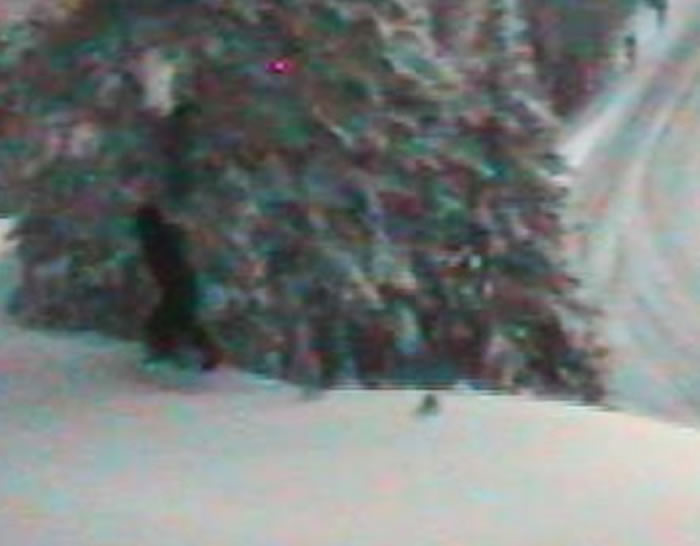 美国华盛顿州运输部的网络摄像机在山区拍到疑似“大脚怪”身影