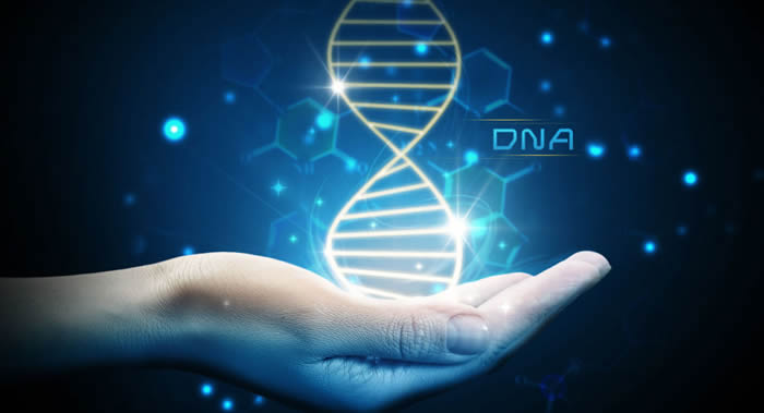 圣路易斯华盛顿大学医学院的科学家揭示人类神秘基因作用