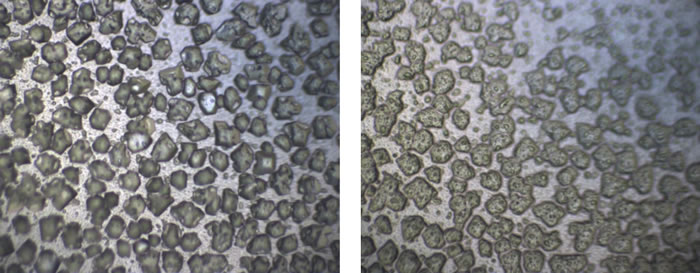 оԱоȲͶ̩̹ϿܺܳĻλϺͽᾧһǰδ֪̩̹Ͽܺ൱ḻġ ǿԴ