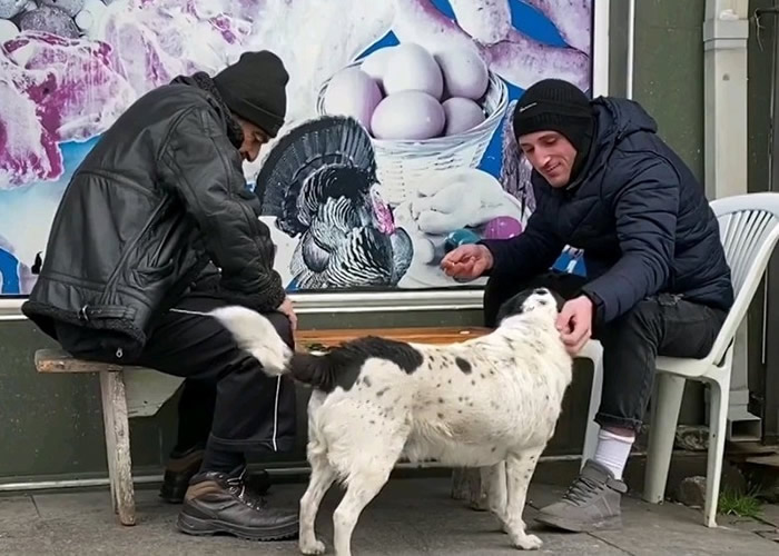 �㳦���ܾ��񰮴���