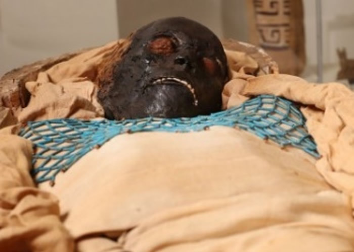 Ӣ����������������˹�ذ���˹�ز���ݹŰ���ľ����ɨ����ʾ���帾�˻򱻵���ɱ����