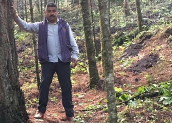 ī����֪������������ר�Ҹ���˹��Homero Gomez������ �ɵ��﷥ľ���Ｏ���ػ�