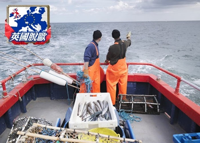 Ӣ���ɹ�����ŷ�����ƹ���ˮ�� �뷨����ҵ������