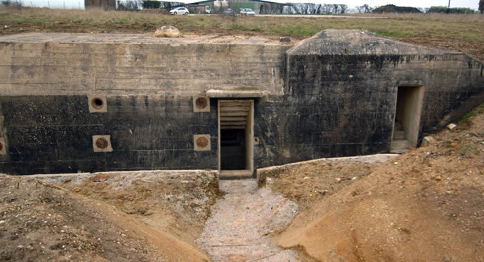 ����ŵ���׺������ֶ�ս�ɴ��������� 1944��D�յ�½�ڼ�Ը��˾�����