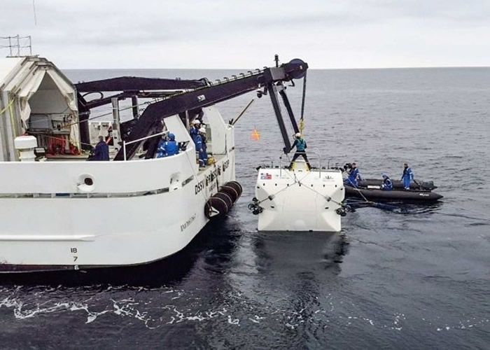 Ӣ����������������Nekton Mission����������ȫ�������Ƚ�ǱͧǱ��ӡ����̽�����������