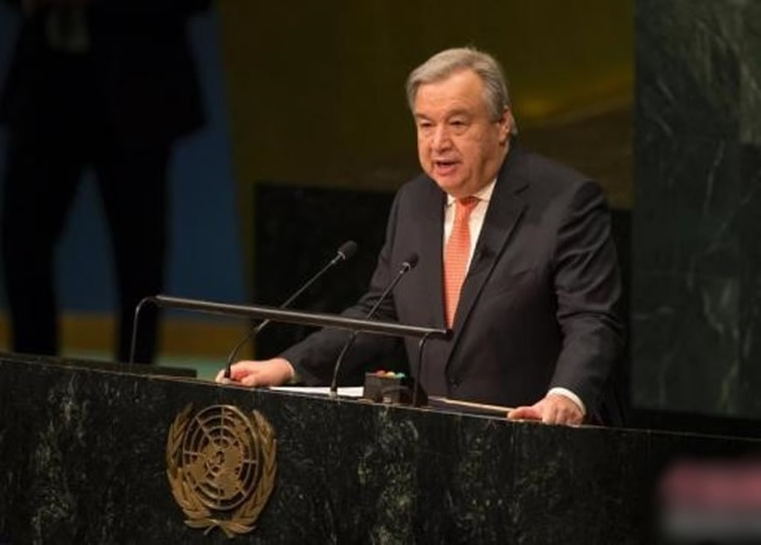 Ϲ鳤˹Ӧ人׿ܴӺַȨ