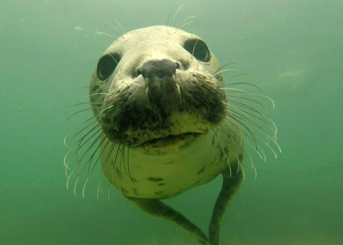 Ӣ��Ŧ��˹����ѧ�о���Ա�ڷ���Ⱥ���������㵽��������������żƬ��