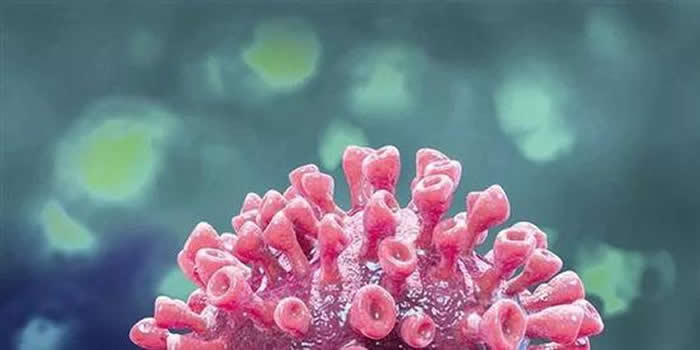 �����ѧ���޷���Ч�������͹�״���� ������ʽ�����������ı仯��