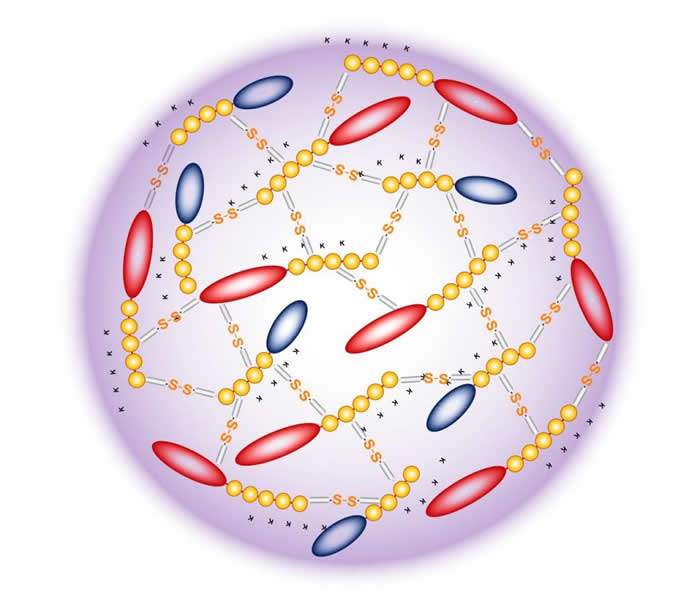 瑞士联邦理工学院(EPFL)研究人员找到使癌症疫苗更有效的新方法