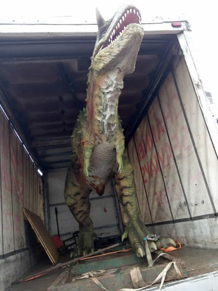 英国根西岛父亲买恐龙模型送儿子 谁料牛龙竟有6米长