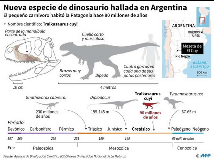 阿根廷巴塔哥尼亚发现9000万年前新食肉恐龙物种化石“Tralkasaurus cuyi”