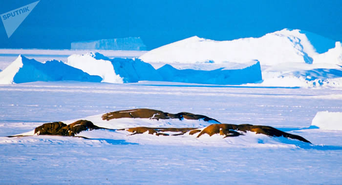 ��÷��������ɭ�������˹��ͳ�������׶����վ����������ϼ�����Ȼ����