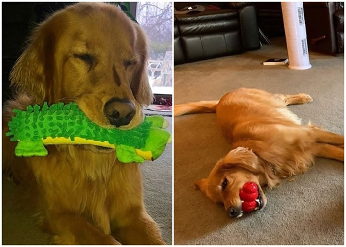 芬利自小爱含住东西。