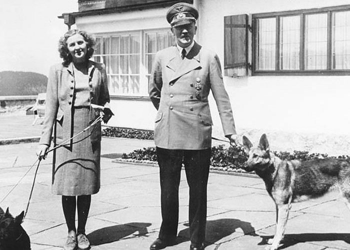 Ӣ������Ӣ�������ص���̲�ϼ��װ��Һ��С��ҩƿ ��Ϊϣ�����鸾��ɱ����