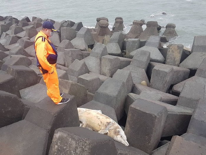 ̨ûˮˮڴƿǺ жദ˺