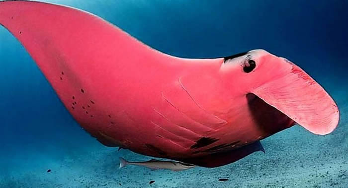 Ĵʿݺ85Ⱜط˵Ժɫ³̽ٴ