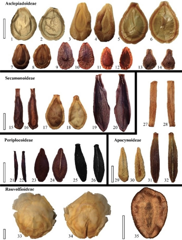 �ִ������ҿ�������̬������