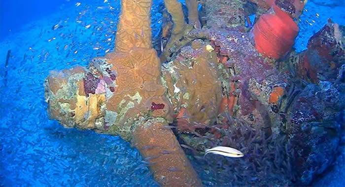 ֲܿ³к׷ֶսʱڱվս