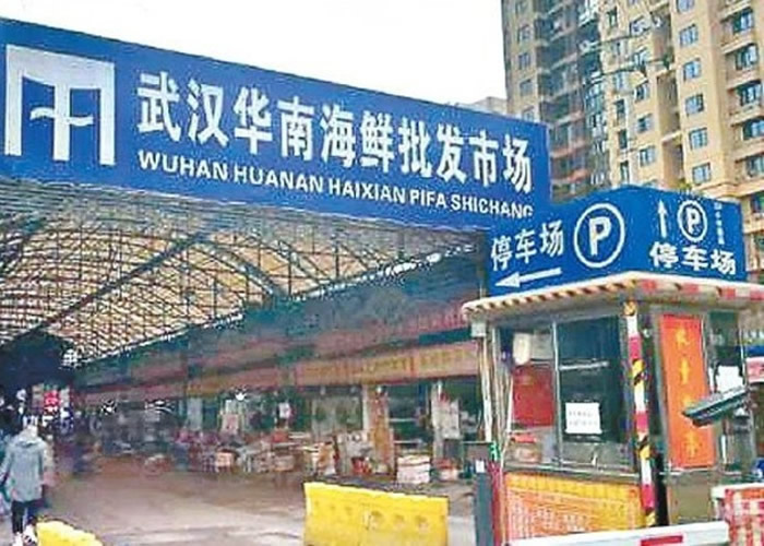 רȷ¹ڲҰͼΪ人Ϻʎ