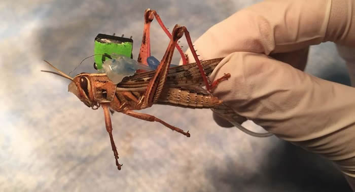 ������ʢ��ʥ·��˹��ѧ����һ��ʹ�����������Ѱ�ұ�ը����·���