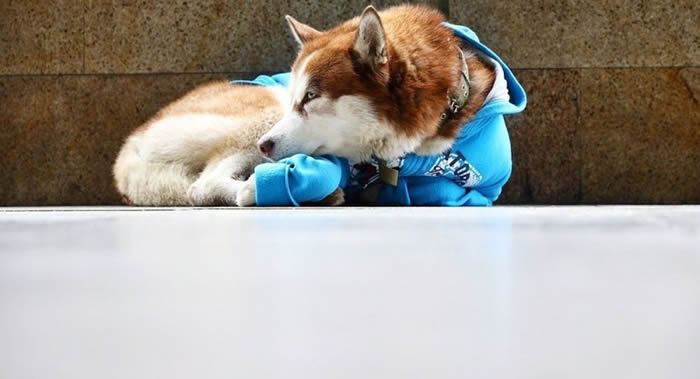 ����˹���������ա���Ȯ�˹�����ʿ��ÿ�춼��Ů�����°�