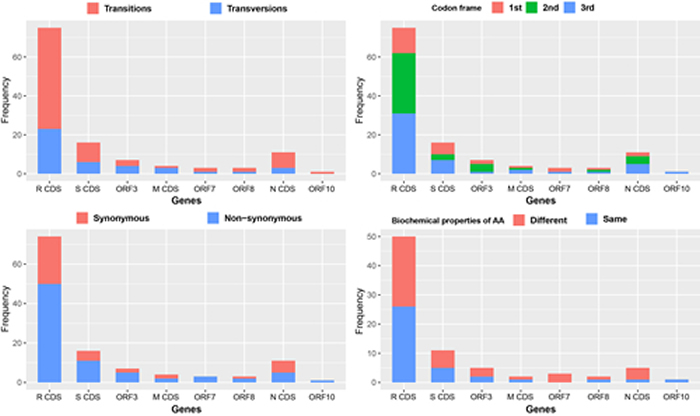 图3. 120个变异位点在8个编码区的分布情况。统计类型包括替换或替代(左上角),密码子位置1-3(右上角),同义突变或非同义突变(左下角),和氨基酸性质(右下