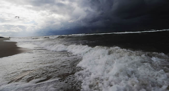 俄罗斯生态学家介绍如果波罗的海被立陶宛港口排放的汞污染会产生怎样的后果