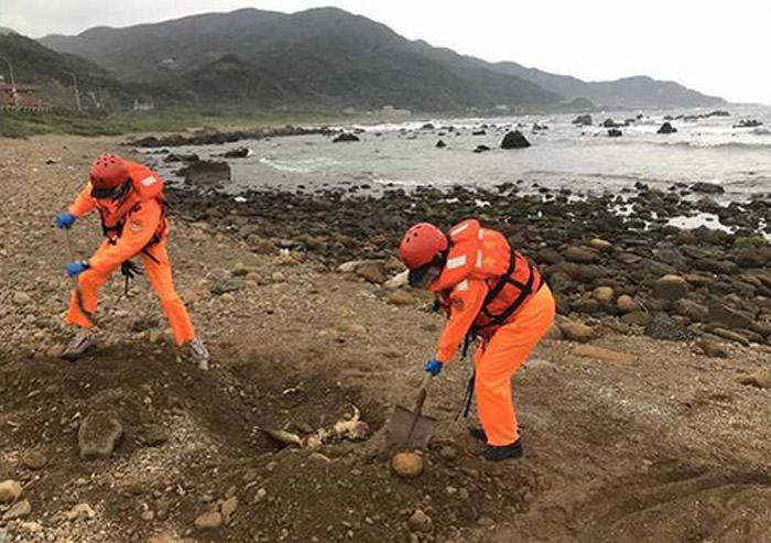 ̨��ʷ�����ش������꼯�������¼� ����6�ߵ����P���1����P������