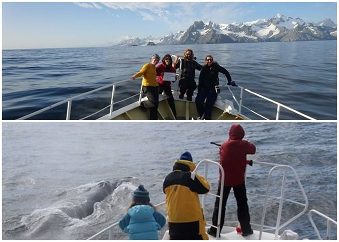 ������Ӣ�������������ǵ����������ٶȷ��ִ���������û