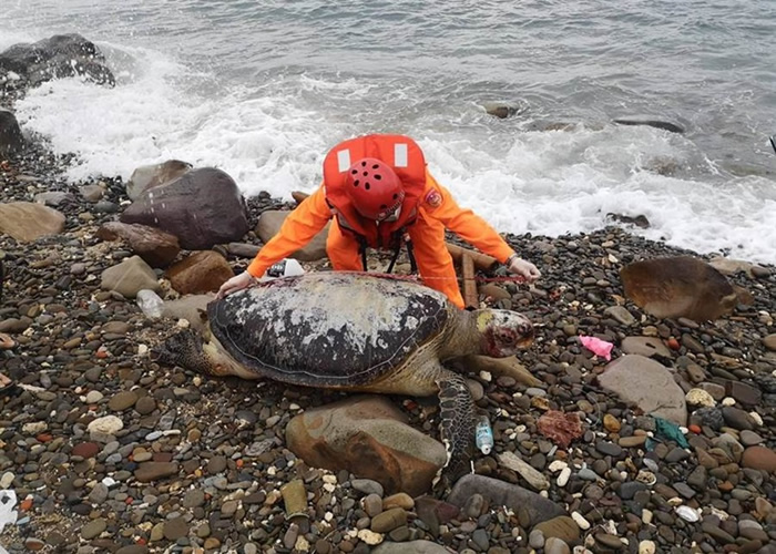 ̨���±��к����߽�������7ֻ�Ѿ����������P��