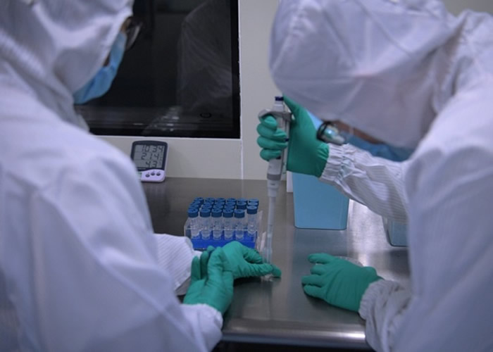 研究人员分析新冠病毒与其它冠状病毒在进化上的时间信息。(中新社图片)