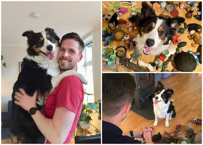 Ų���߾�����Ȯ����ʿ�ɡ��ƽ����� �ܰ��ϳ���90����ߵ����