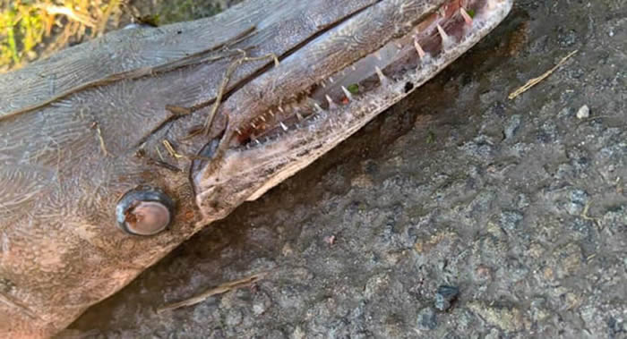 ������ʿ����Ϸ��ְ�������������ȸ����