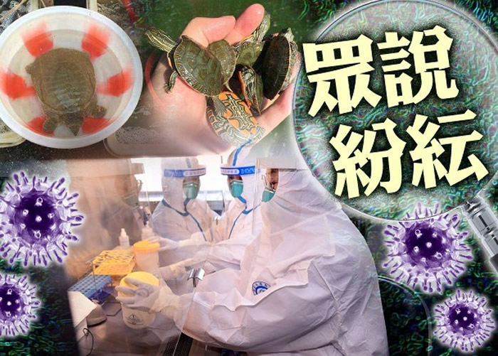 最新研究指龟类也是新型冠状病毒的潜在中间宿主