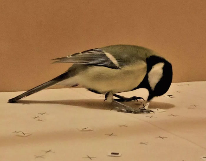 ̬ѧ־ȸʹɽȸͨۿƵ˽ⲻóԵĶ