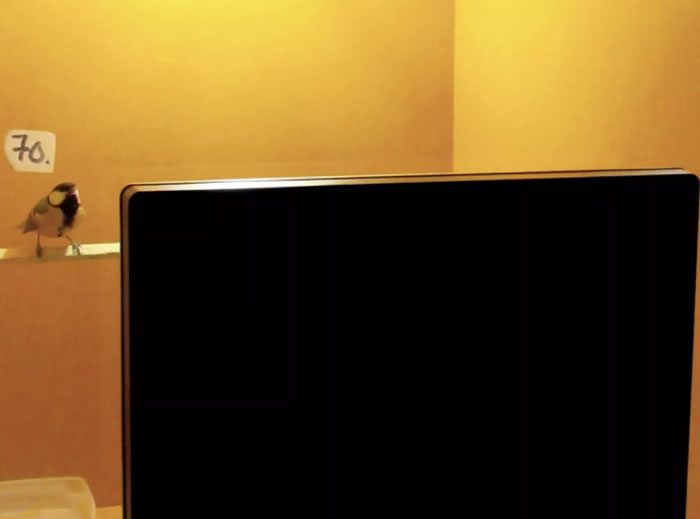 ̬ѧ־ȸʹɽȸͨۿƵ˽ⲻóԵĶ