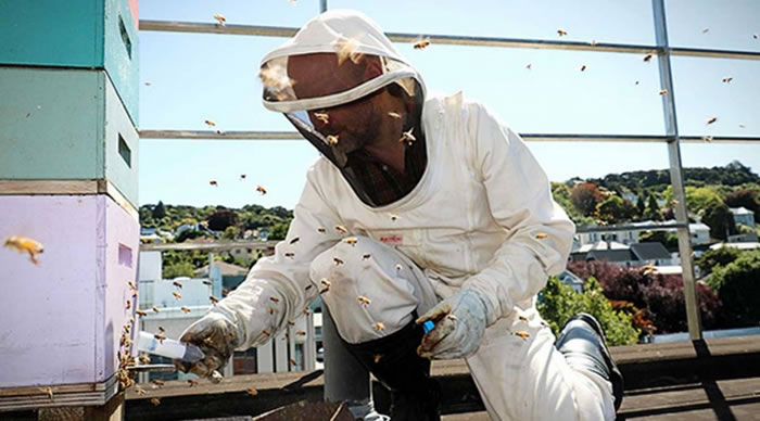 �������ѧ���о������۷���Ժ�������Ի������֮��