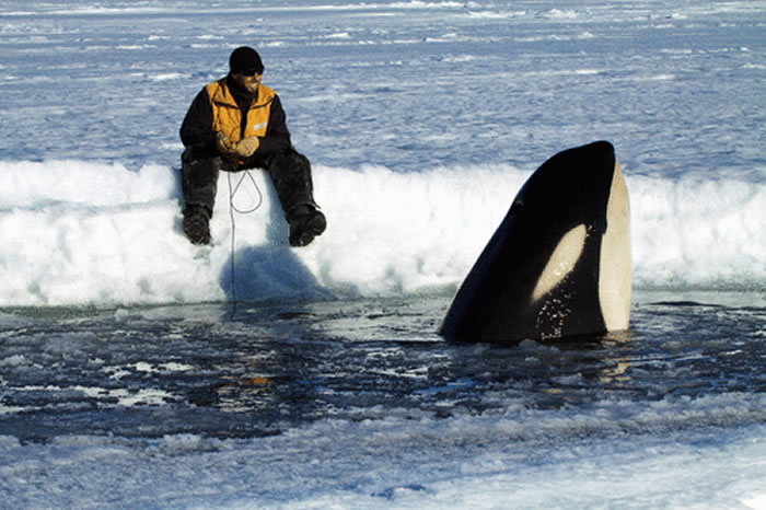 ���ʼ�ѧ�Ὺ�ſ�ѧ����־���о�������������С�Ļ����������˾��ȵĸ���������Ŀ