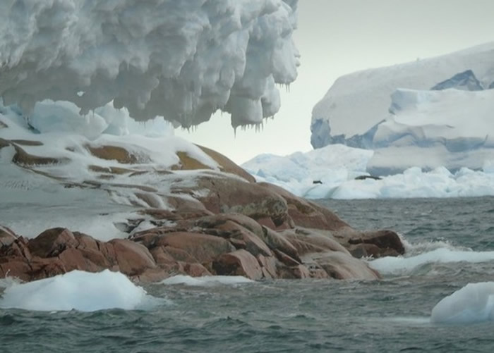 南极考察团队发现新岛屿希芙岛(Sif) 面积与英国温莎堡相若
