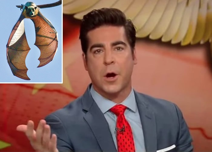 ��������˹��������������˹Jesse Watters�������������� ���й��˰��������������