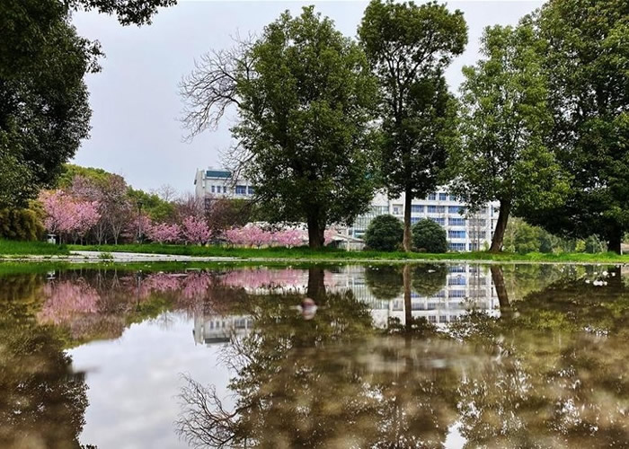 人ѧӣ½ʢ ¹ڷӰ˹