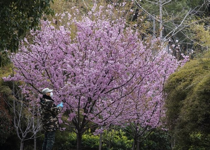 人ѧӣ½ʢ ¹ڷӰ˹